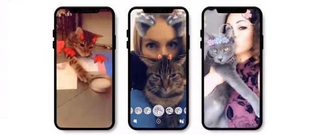 Su Snapchat filtri e lenti dedicati ai gatti