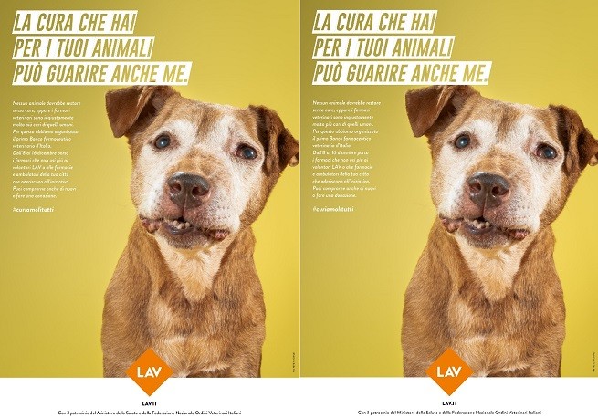 LAV, farmaci veterinari: Banco Farmaceutico