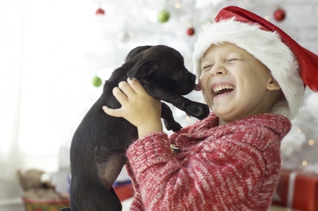 Bambino con cucciolo di cane a Natale