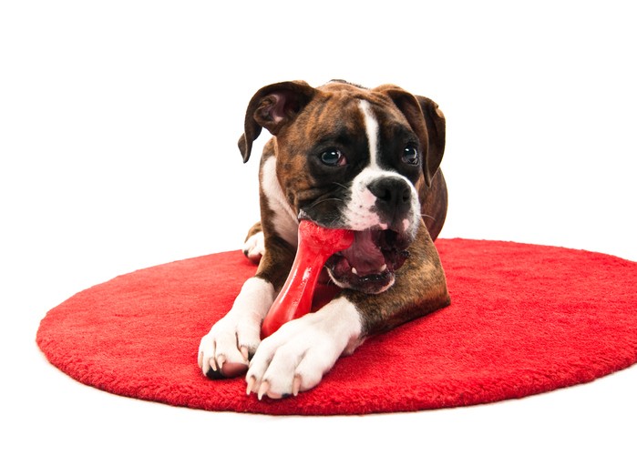 Tappetino riscaldante per cani