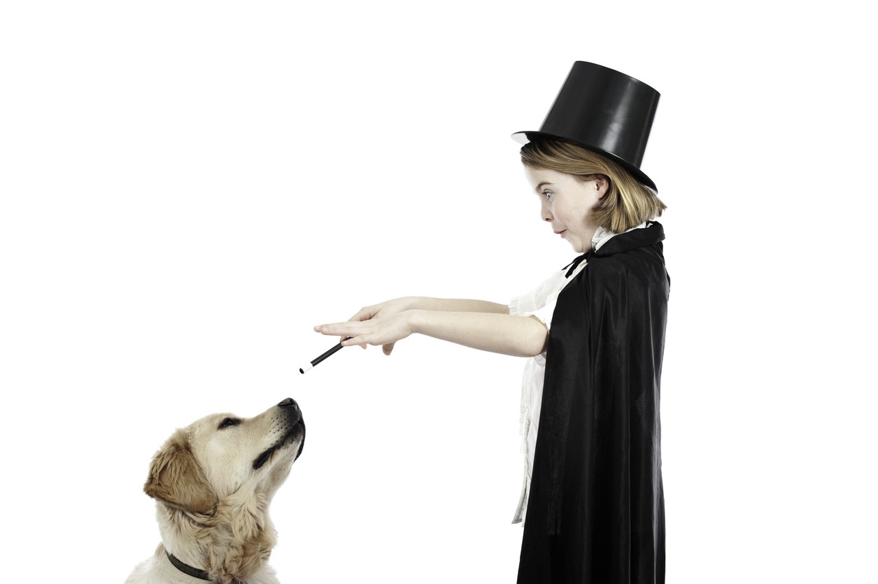 Giochi di magia per i cani
