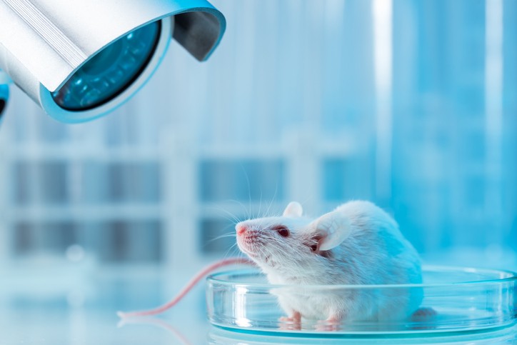 Sperimentazione animale