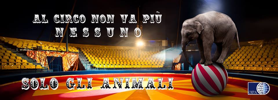 Circo petizione animali