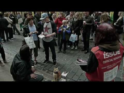 Gatto e musicista senzatetto