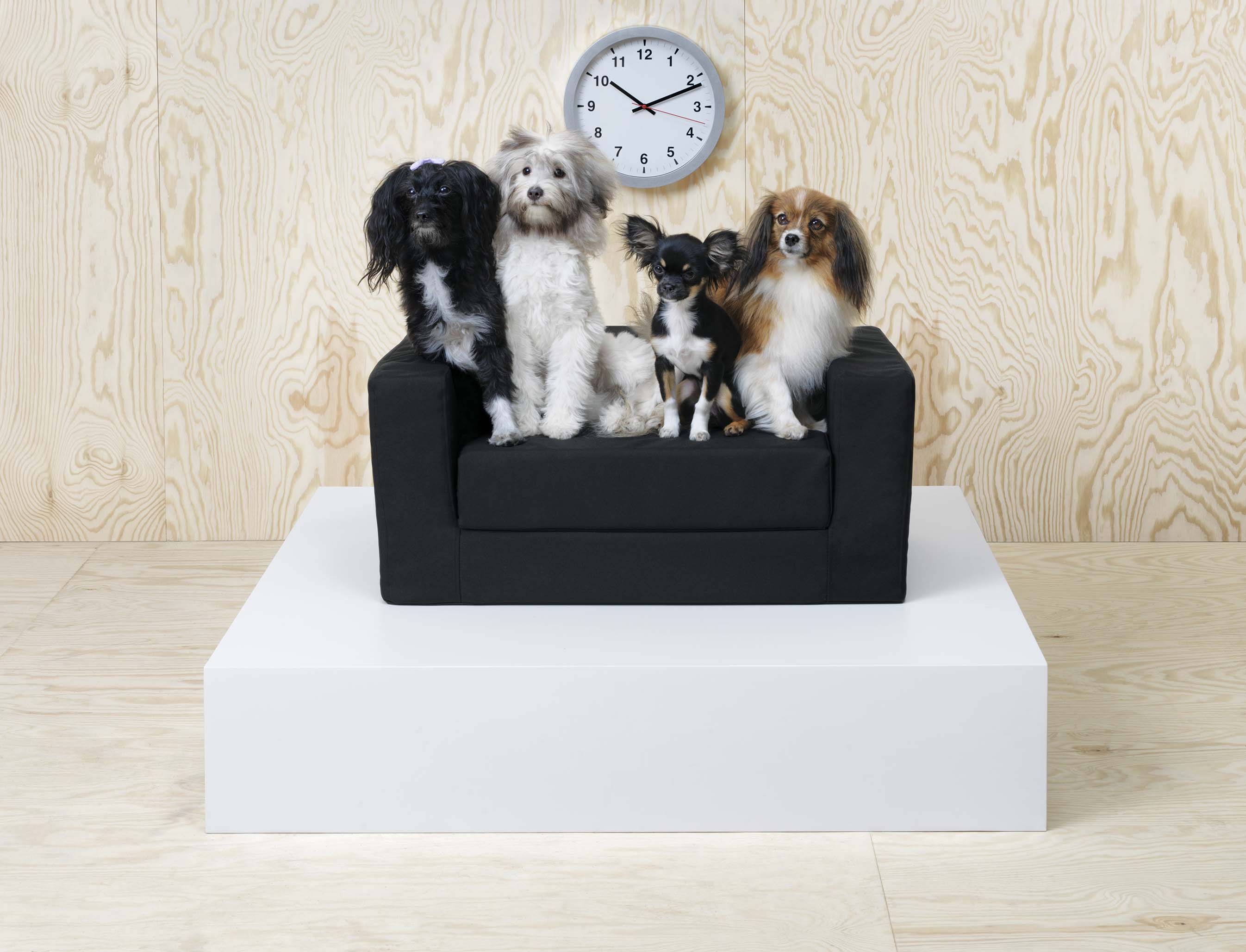 ikea pet shop