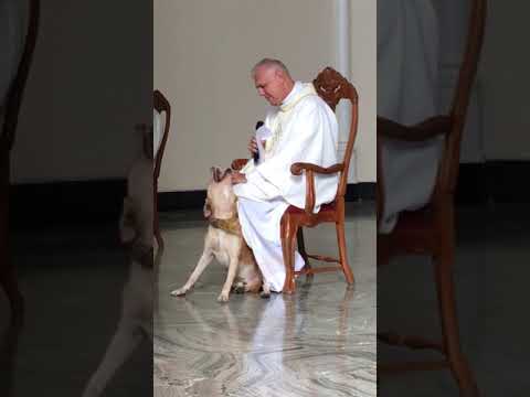 Prete e cane