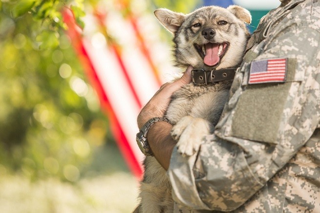 Cane e soldato: pet therapy