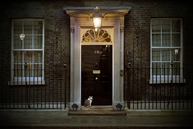 Dowing Street: Larry