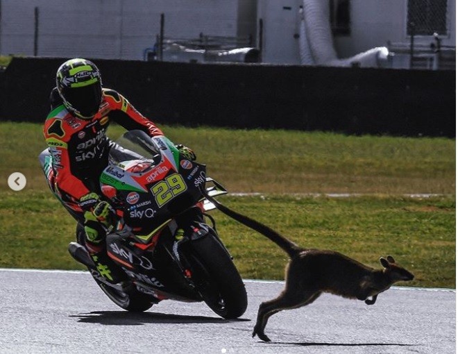 Andrea Iannone