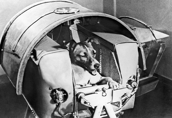 Laika, cane nello spazio