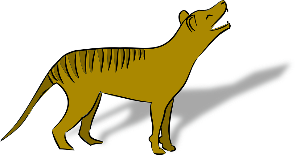 tigre della Tasmania