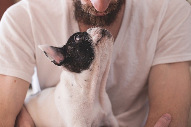 Cani amano persone