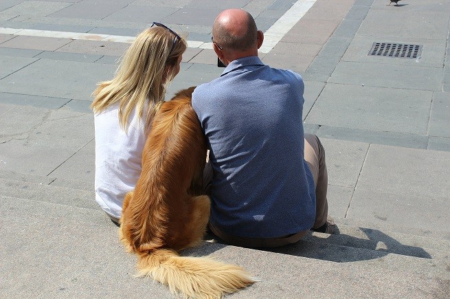 Cane a Milano