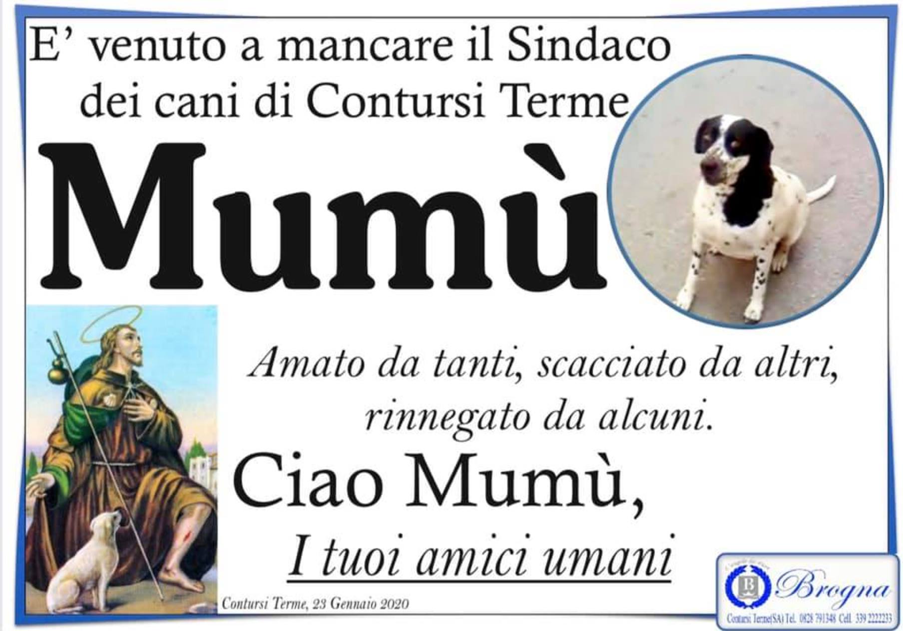 Contursi Terme Mumu