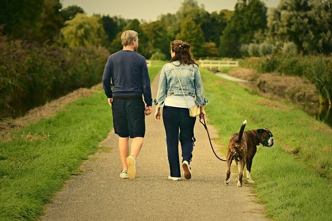 Passeggiata cani