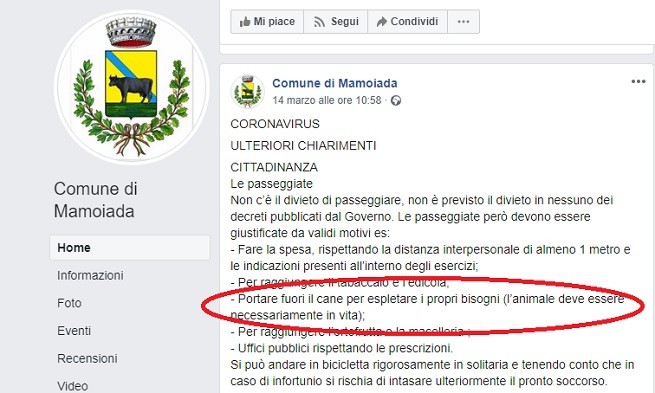 Mamoiada cane
