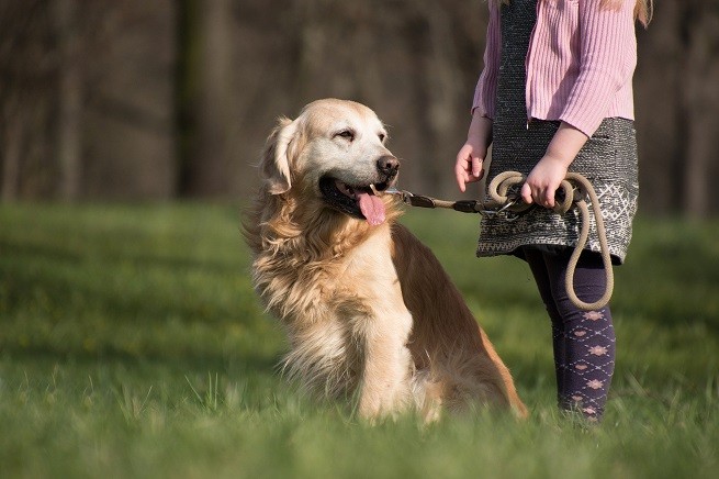 Cane guinzaglio