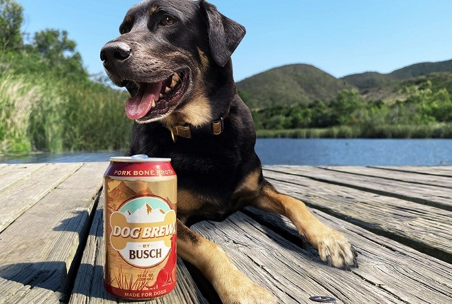 Dog Brew