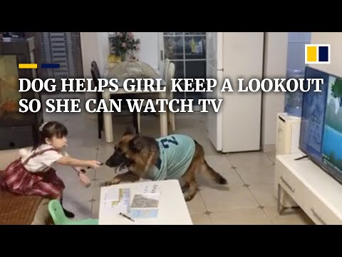 Cane e bambina