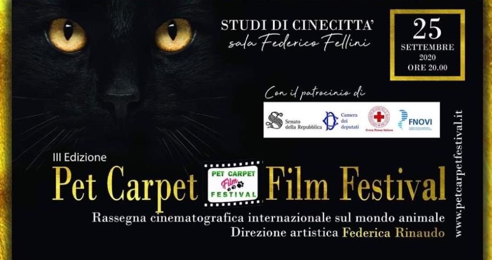 Pet Carpet Film Festival 2020