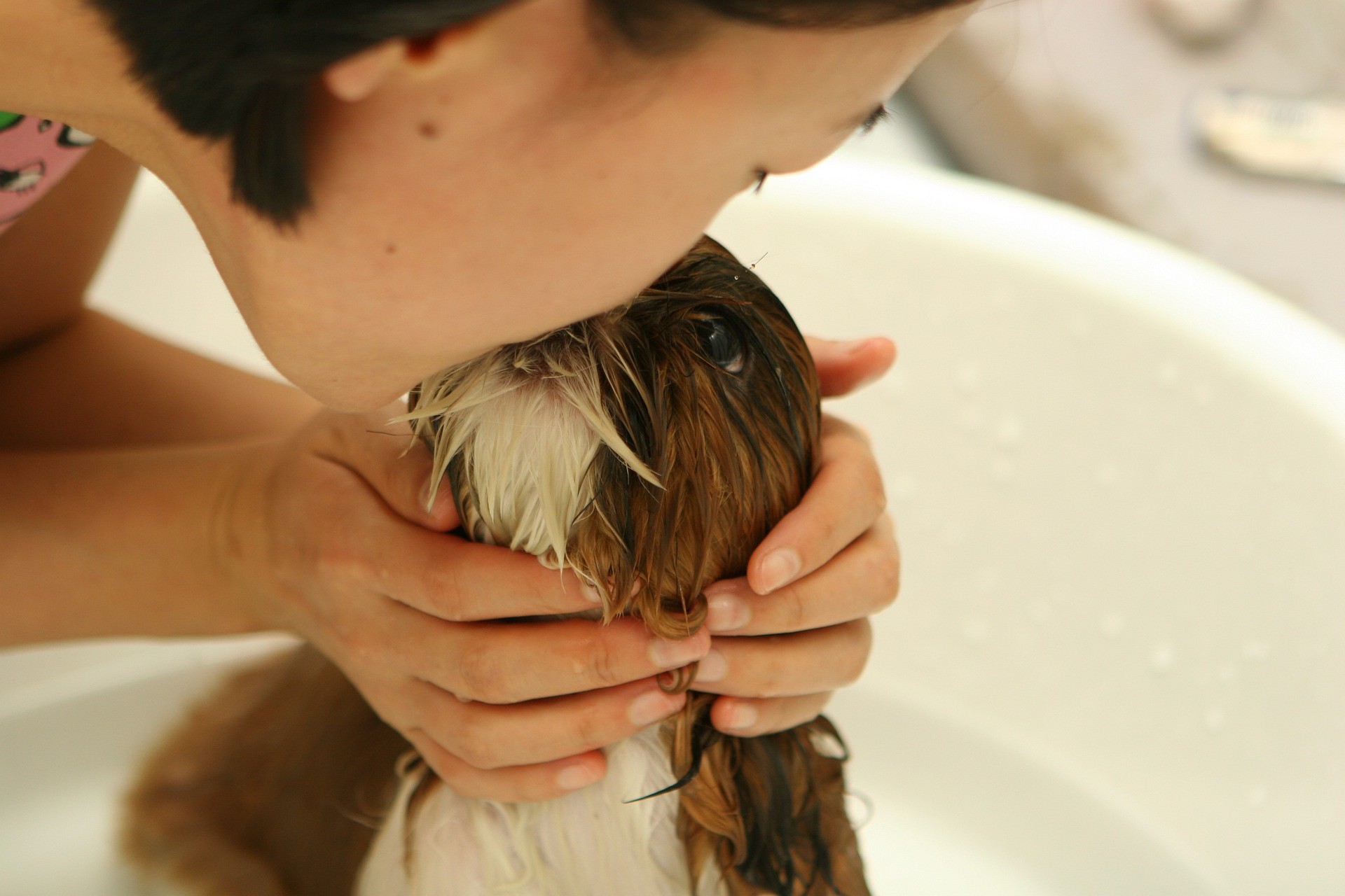 Perché il mio cane ha un cattivo odore anche dopo il bagno