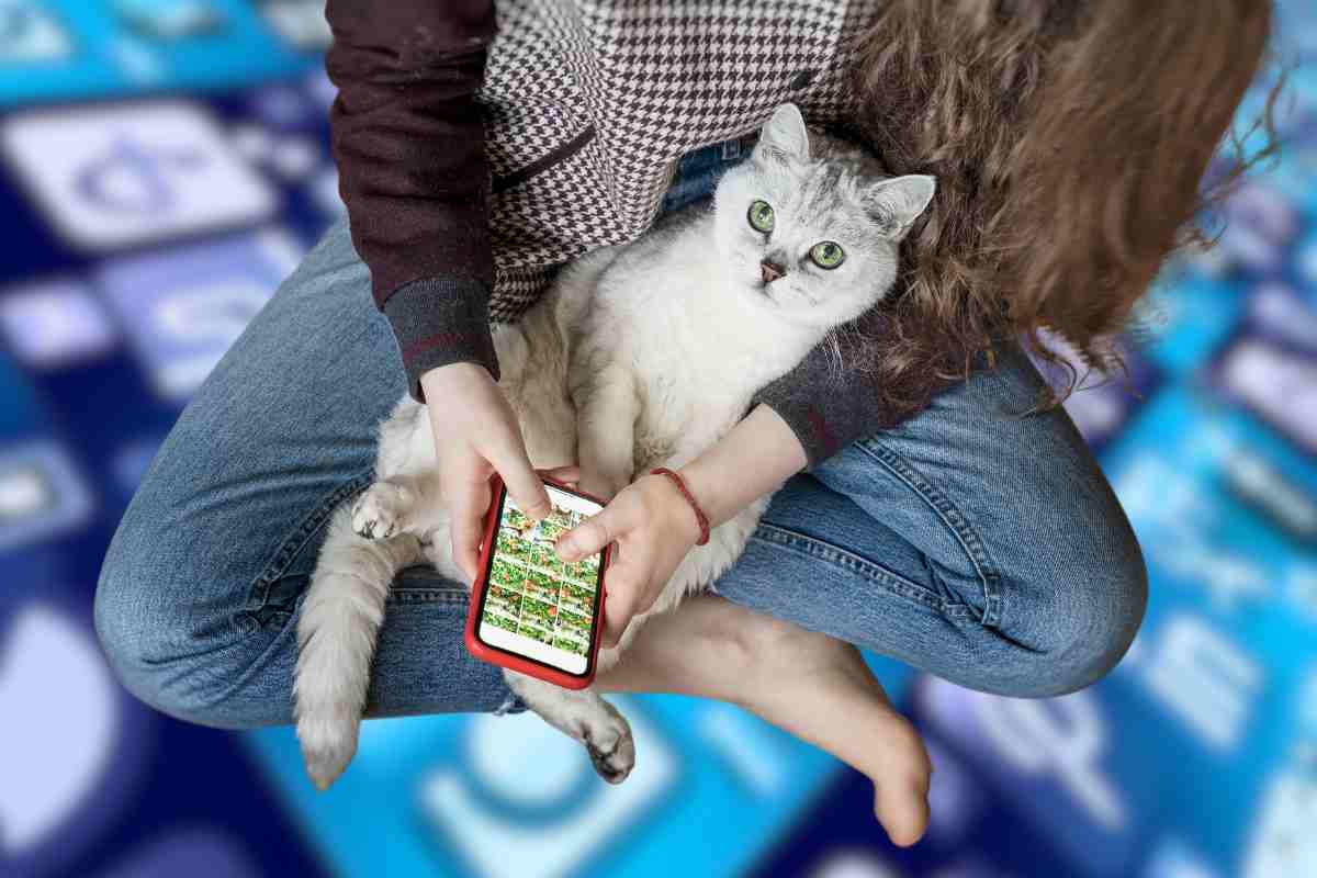 App per trovare animali