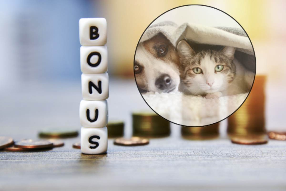 Questo bonus rappresenta un'importante iniziativa che permette ai proprietari di cani e gatti di ottenere una detrazione fiscale del 19%