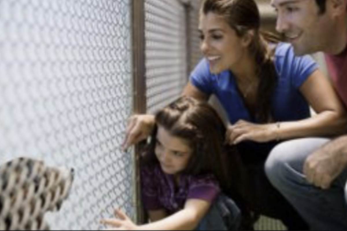 Una storia che tocca il cuore e dimostra come l’amore possa trasformare la vita di un animale è quella di Gilda