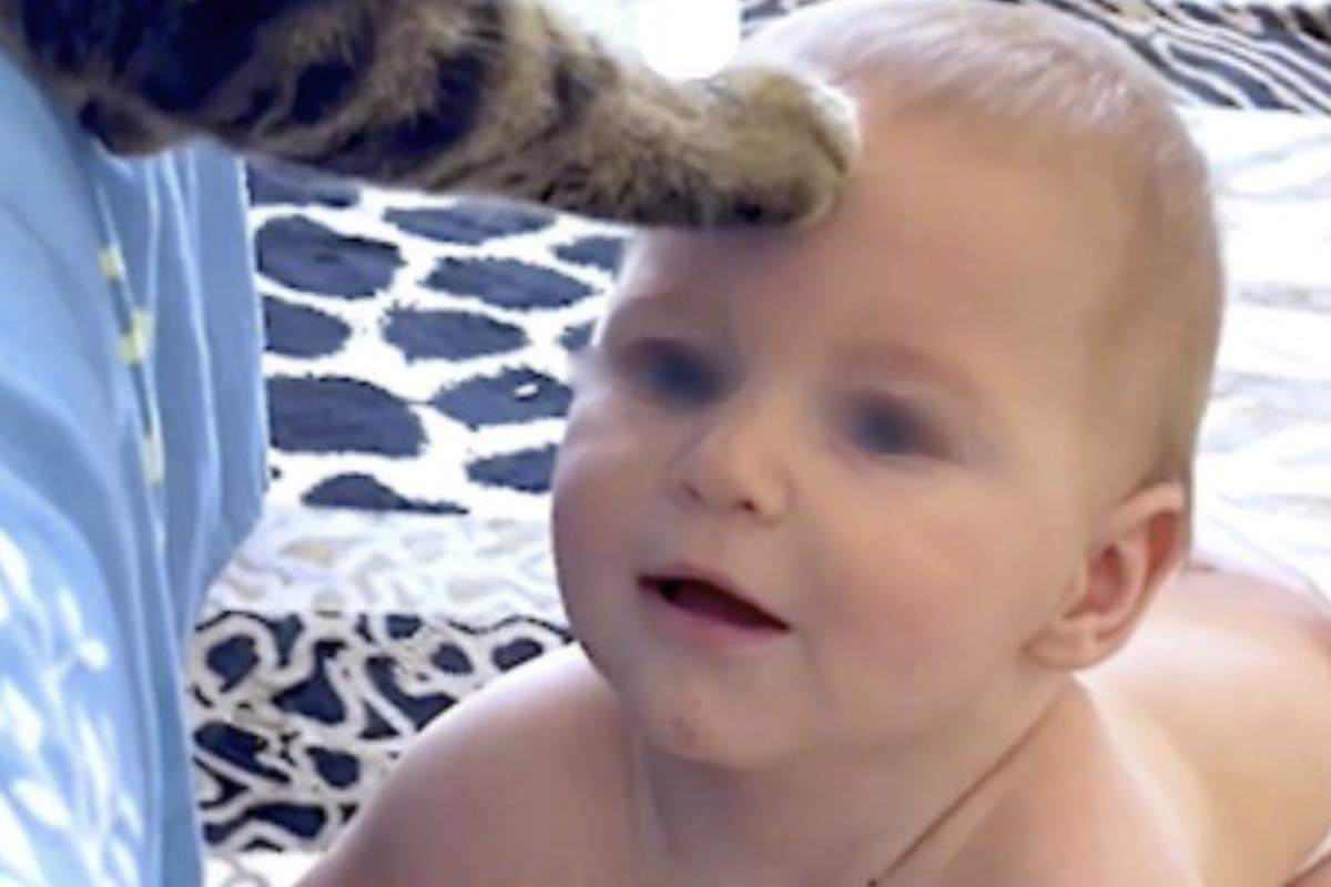 Il momento magico evidenzia una forma di comunicazione atipica tra il neonato e il gatto. Non ci sono parole, ma la connessione è palpabile.