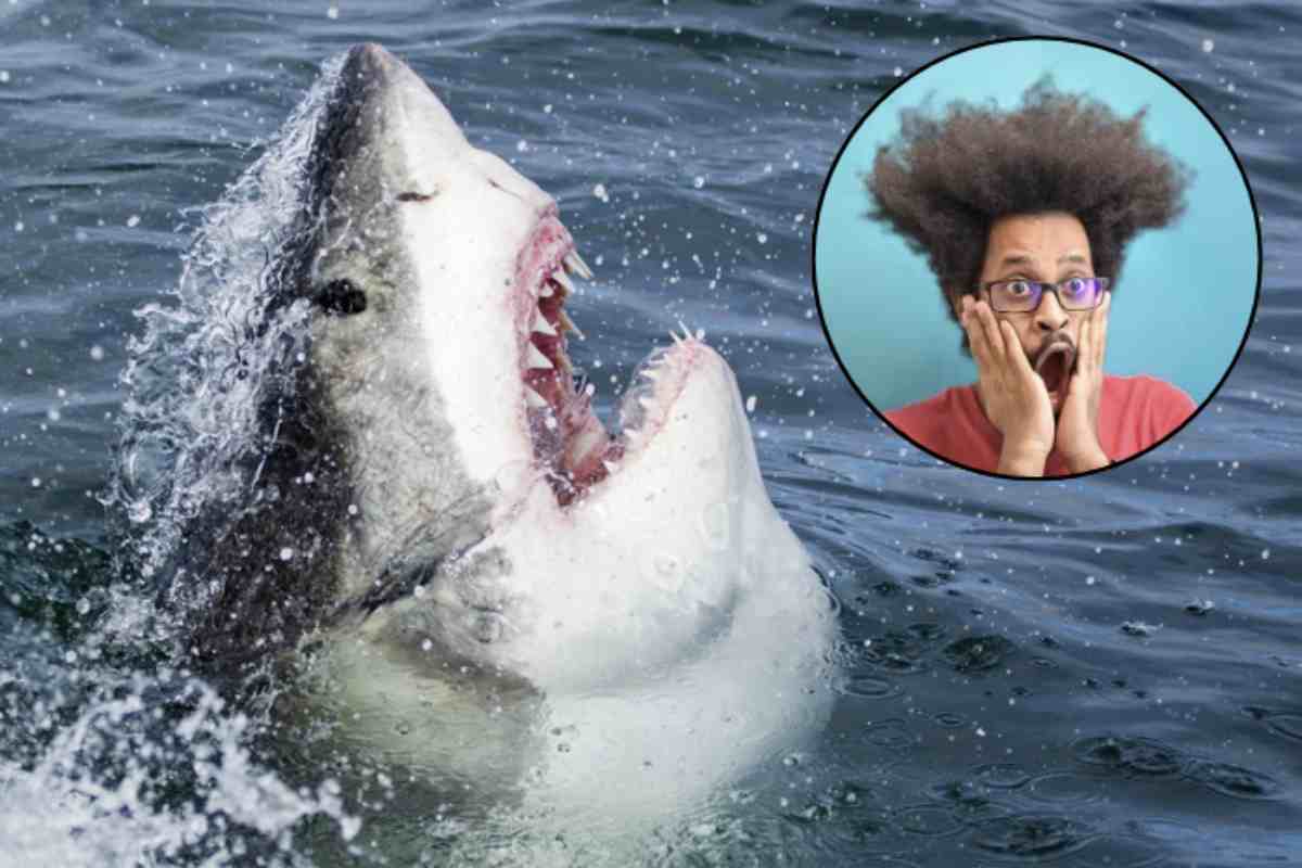 La giovane, pronta a tuffarsi in mare, ha avuto la prontezza di spirito di controllare sott’acqua prima di immergersi.