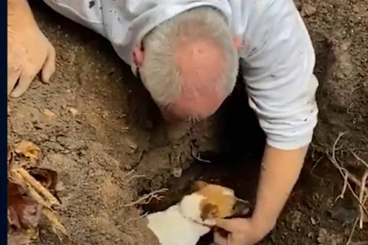 Video di uomo che ritrova cane