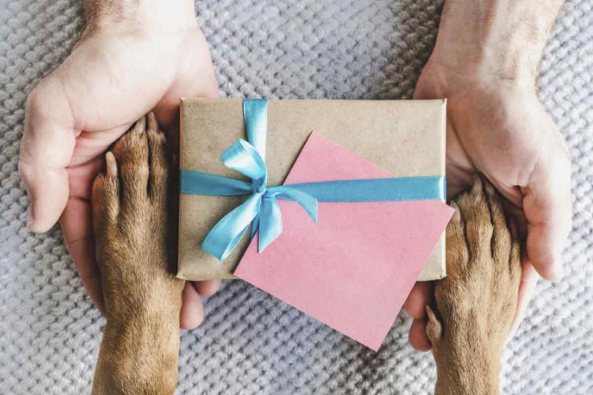 I bambini hanno una straordinaria capacità di farci ricordare la bellezza della vita e delle emozioni. La loro spontaneità e autenticità