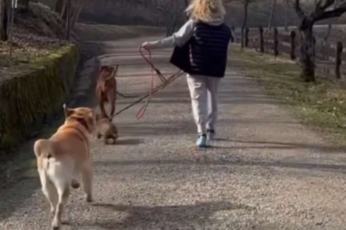 Antonella clerici con i suoi cani