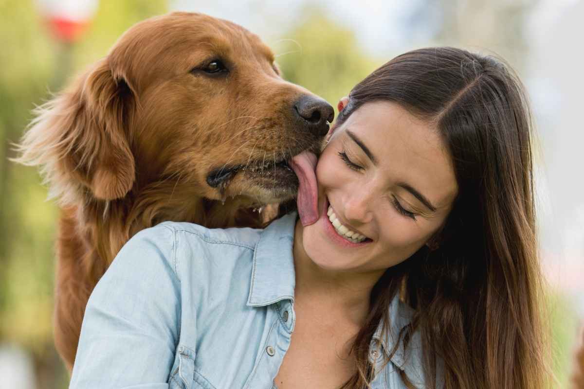 Cani più affettuosi