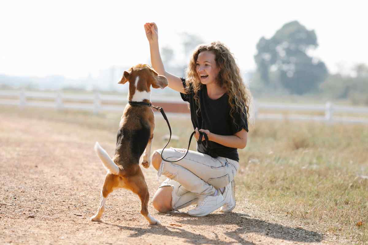 sbadiglio cane comunicare bene con il proprio cane
