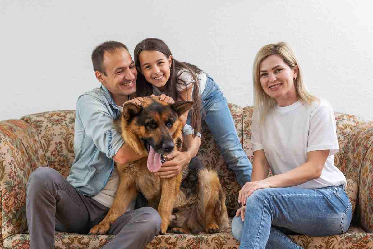 Abbandonato e assetato, per il cane Jimi non c'era speranza