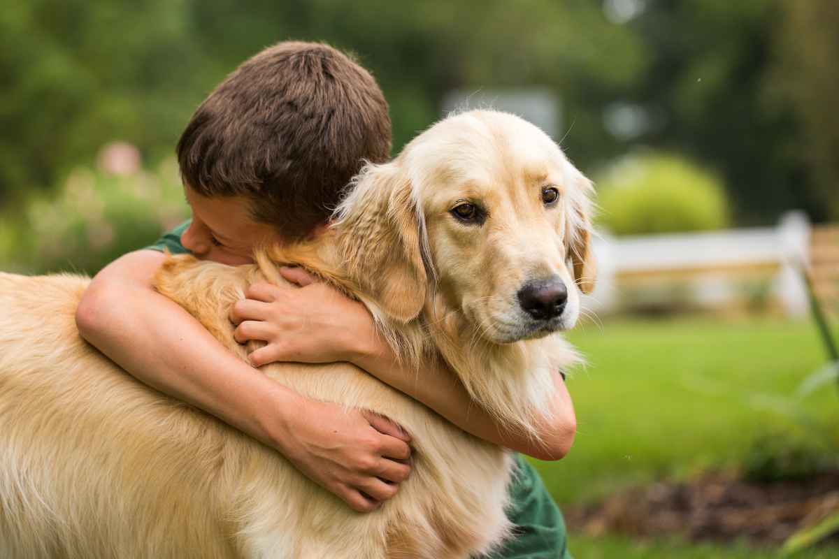 Ritrova il suo cane dopo 10 anni