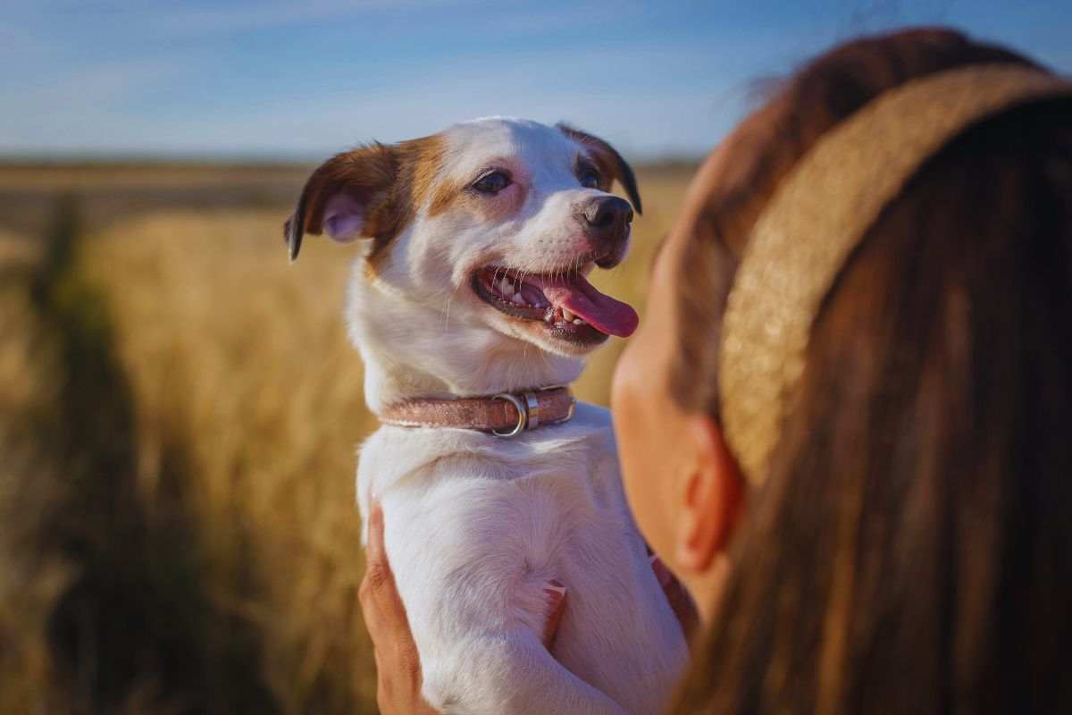 come si manifesta l'empatia nei cani