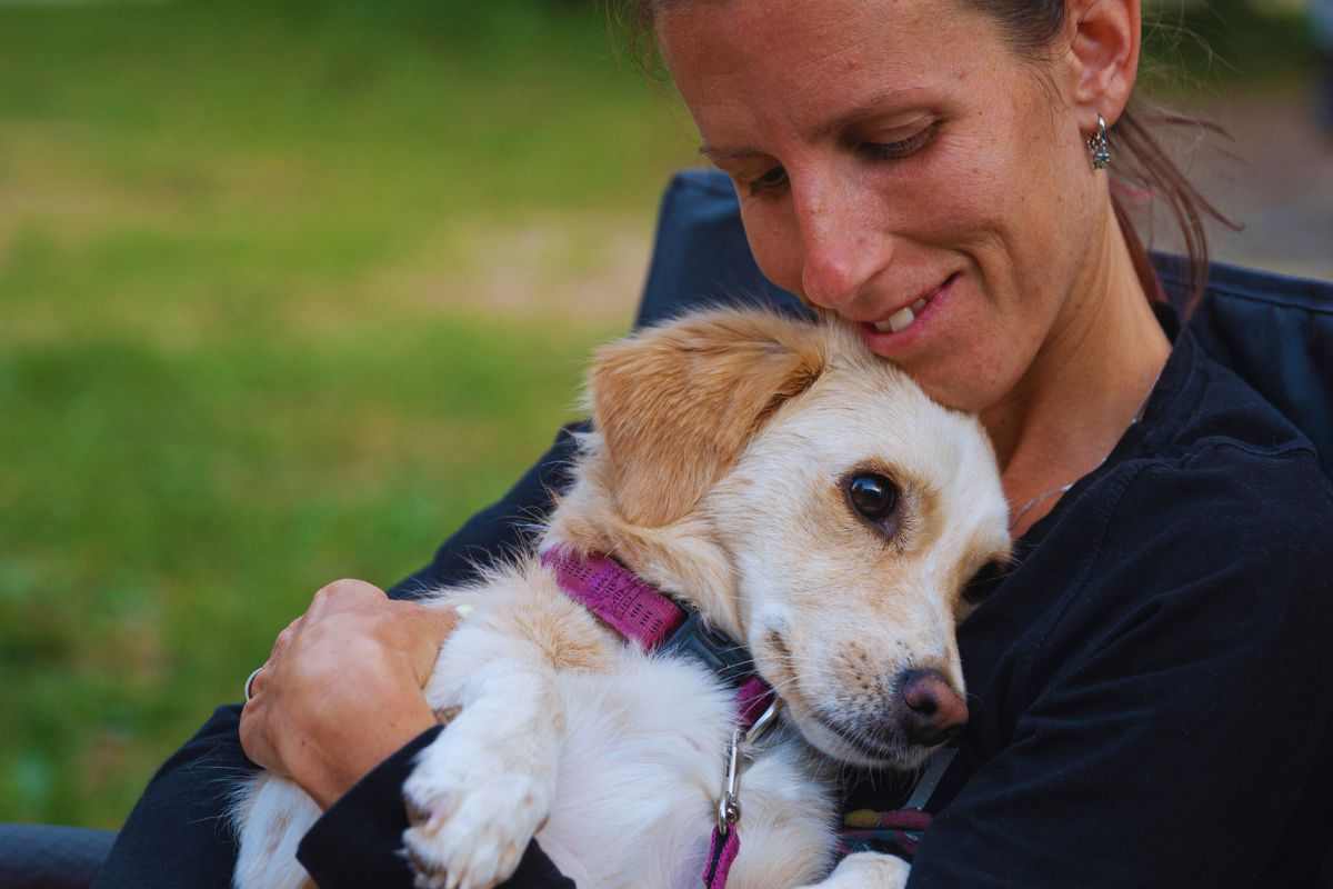 rapporto tra cane a padrone