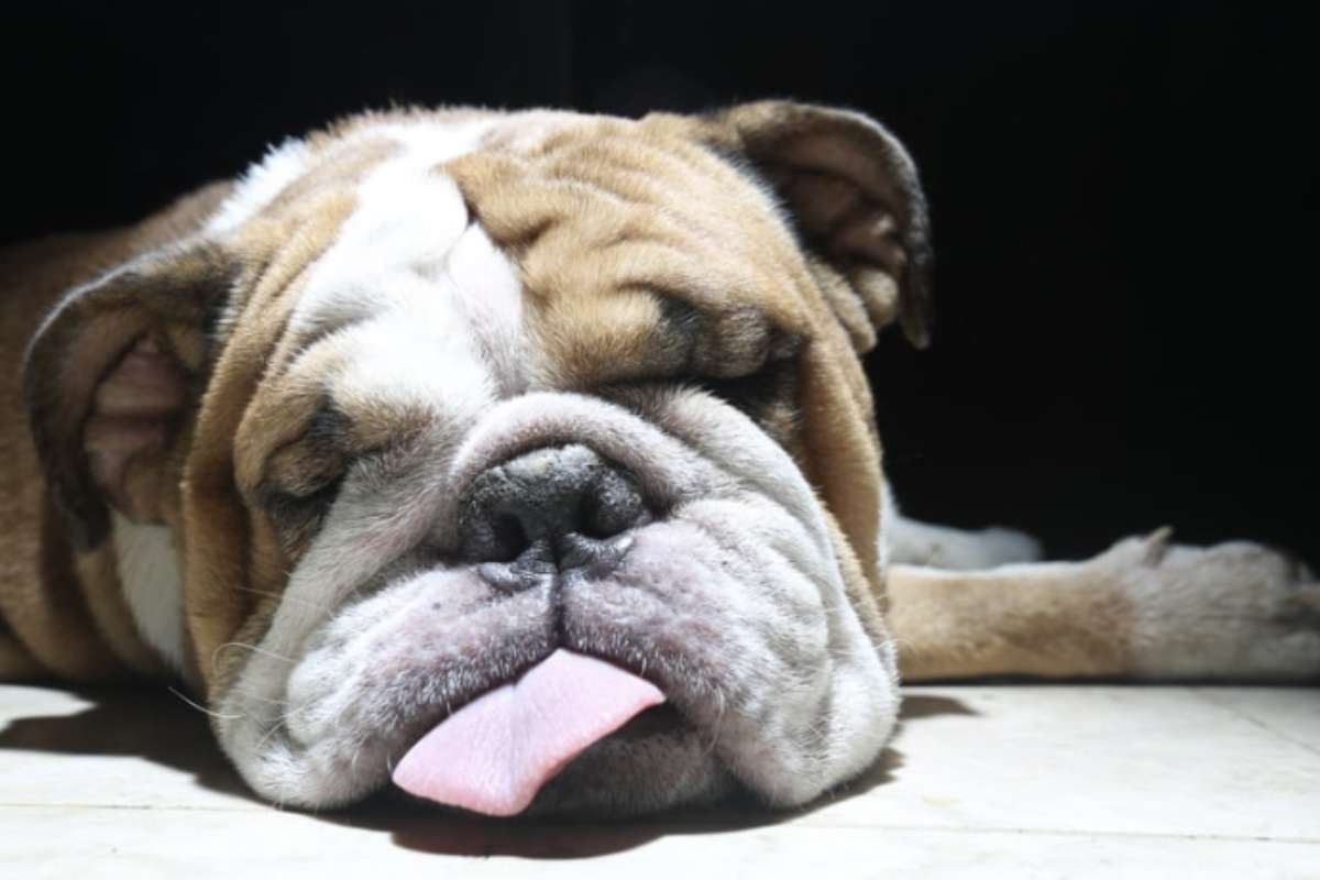 Il russare diventa motivo di preoccupazione quando è continuo e molto rumoroso o se si presentano pause respiratorie durante il sonno